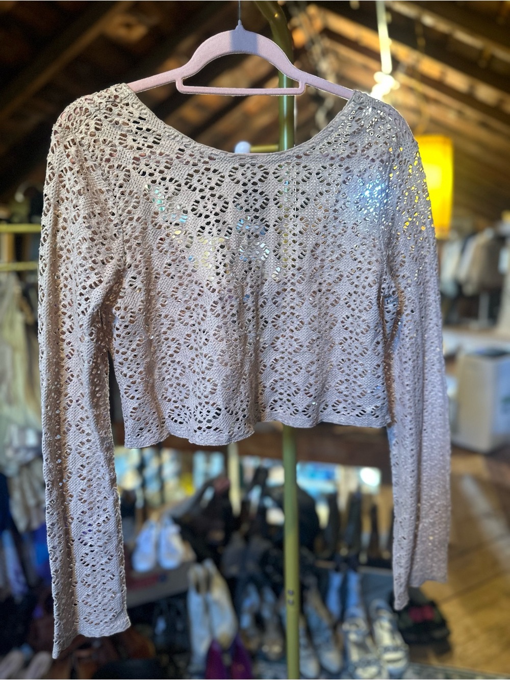 Free People Crochet Lace Long Sleeve Top in Light Beige
